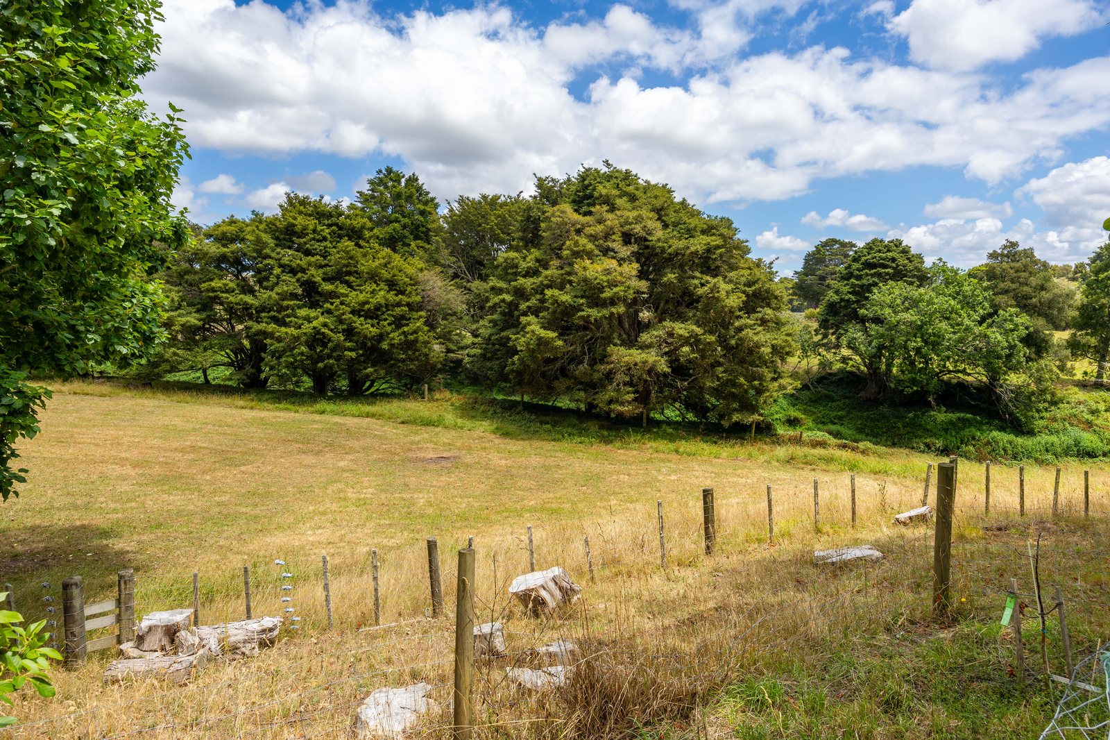196 Tomarata Valley Road, Wellsford — photo 18 of 47