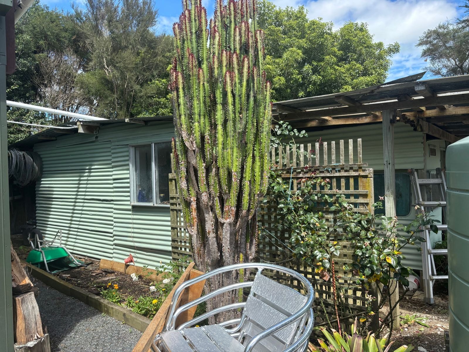 111 Harataua Road, Port Albert — photo 18 of 37